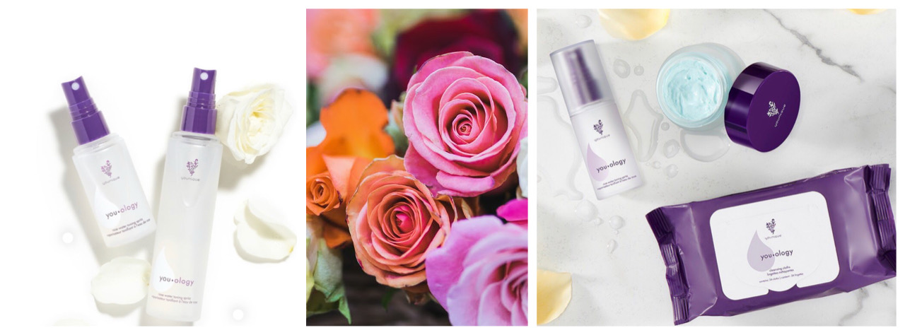 5E4F4D33 A38C 43C6 BE53 8BCFA6D47164