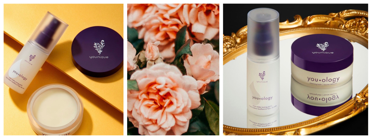 BFD8C03B B590 4277 ADF1 8FBCA2AE08DD