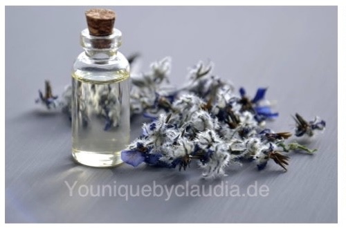 FE4D8A80 3DDF 47C2 93CD B2801F12E29F