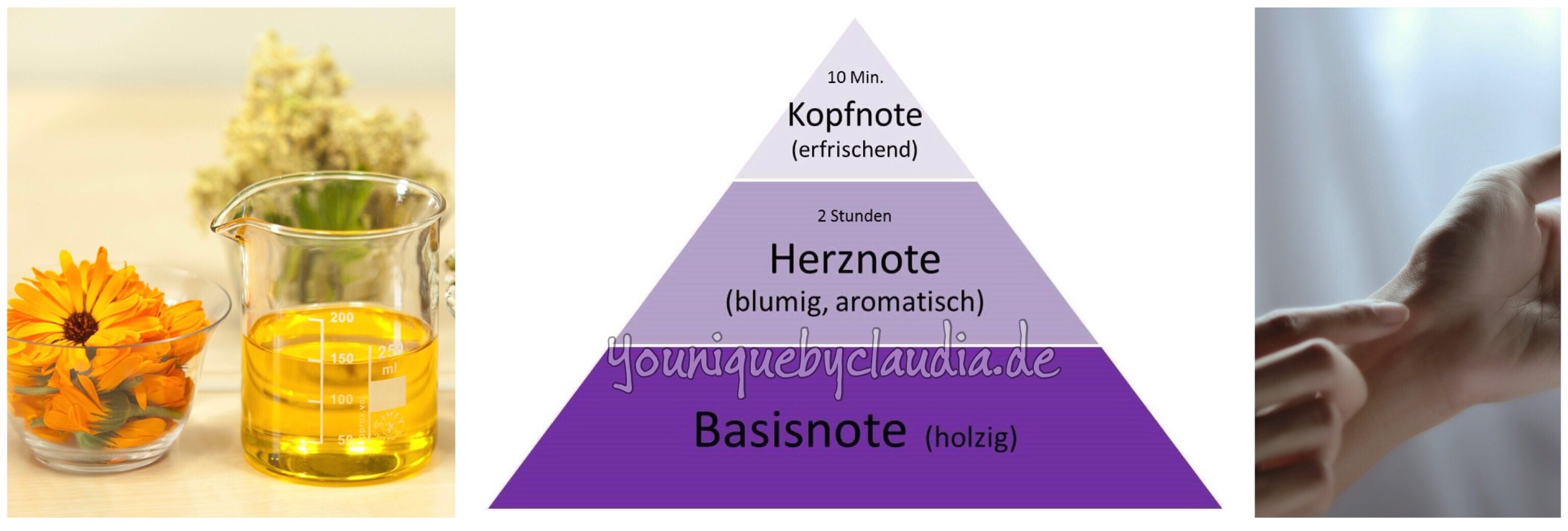 Younique Parfum Kopfnote Herznote Basisnote 1