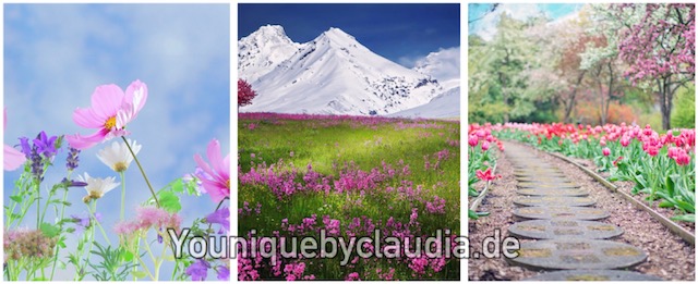 Younique tierversuchsfrei vegan glutenfrei crueltyfree 5