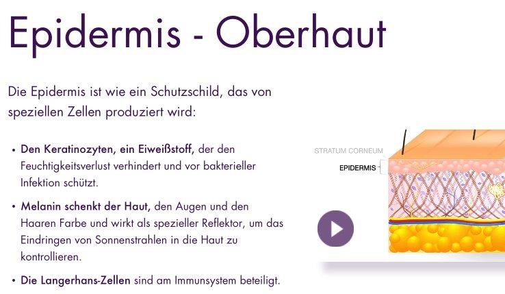 Younique Beachfront Selbstbräuner Hautschichten Epidermis Tanning Drops Erfahrungsbericht Tipps und Tricks