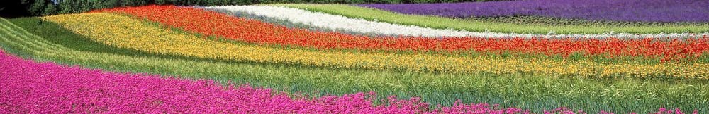 Younique Youology Natur Inhaltsstoffe 3